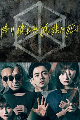 白色雪纳瑞萌图片大全 HD